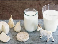 中國(guó)民族品牌
