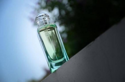 高檔香水：羨慕別人更出色？