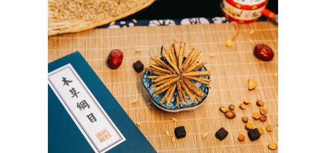 中藥第一民族品牌，股價從163元跌到53元，曾經(jīng)的龍頭還能漲嗎？