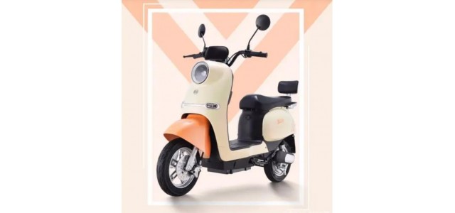 2022年電動(dòng)車(chē)十大品牌排名，選出性?xún)r(jià)比最好的電動(dòng)車(chē)。